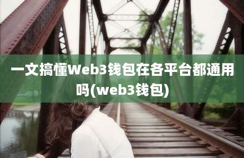 一文搞懂Web3钱包在各平台都通用吗(web3钱包)