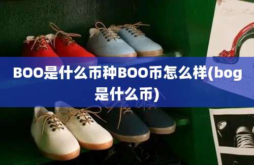 BOO是什么币种BOO币怎么样(bog是什么币)