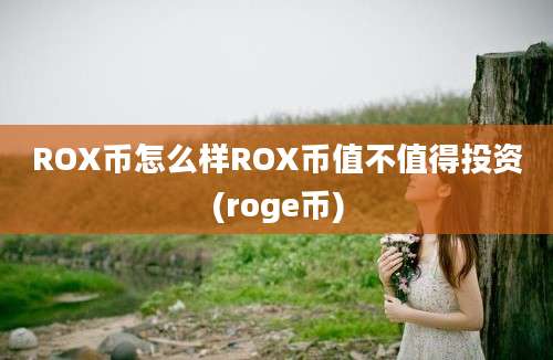 ROX币怎么样ROX币值不值得投资(roge币)