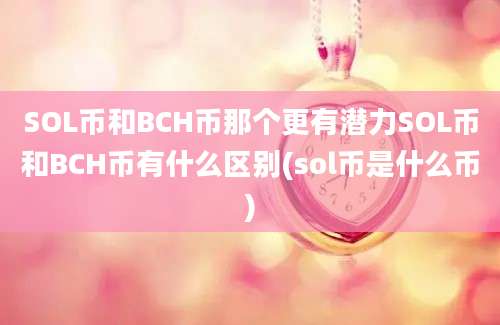 SOL币和BCH币那个更有潜力SOL币和BCH币有什么区别(sol币是什么币)