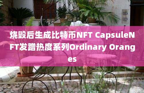 烧毁后生成比特币NFT CapsuleNFT发蹭热度系列Ordinary Oranges