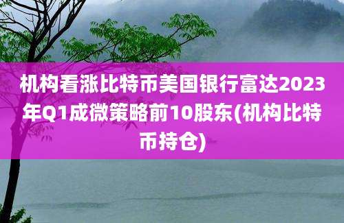 机构看涨比特币美国银行富达2023年Q1成微策略前10股东(机构比特币持仓)