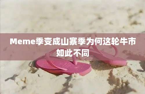 Meme季变成山寨季为何这轮牛市如此不同