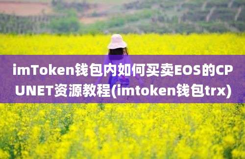 imToken钱包内如何买卖EOS的CPUNET资源教程(imtoken钱包trx)