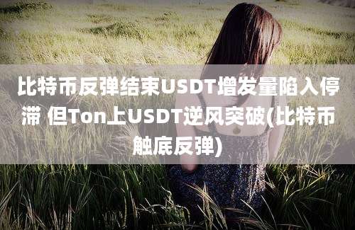 比特币反弹结束USDT增发量陷入停滞 但Ton上USDT逆风突破(比特币触底反弹)