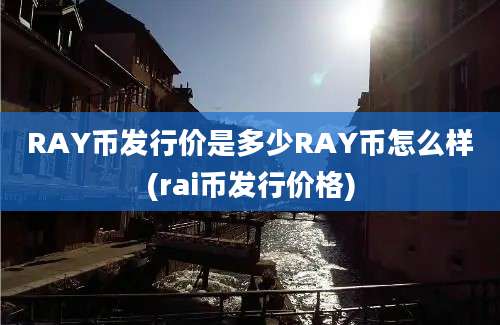 RAY币发行价是多少RAY币怎么样(rai币发行价格)