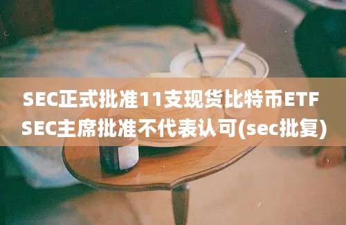 SEC正式批准11支现货比特币ETF SEC主席批准不代表认可(sec批复)