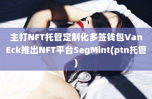 主打NFT托管定制化多签钱包VanEck推出NFT平台SegMint(ptn托管)