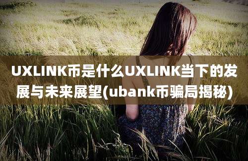 UXLINK币是什么UXLINK当下的发展与未来展望(ubank币骗局揭秘)