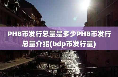 PHB币发行总量是多少PHB币发行总量介绍(bdp币发行量)