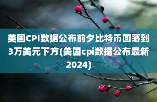 美国CPI数据公布前夕比特币回落到3万美元下方(美国cpi数据公布最新2024)