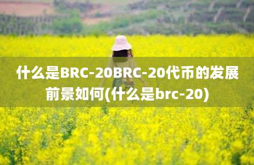 什么是BRC-20BRC-20代币的发展前景如何(什么是brc-20)