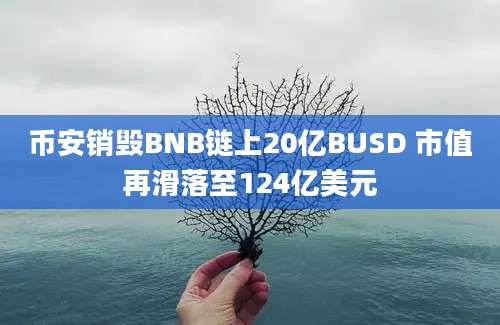 币安销毁BNB链上20亿BUSD 市值再滑落至124亿美元