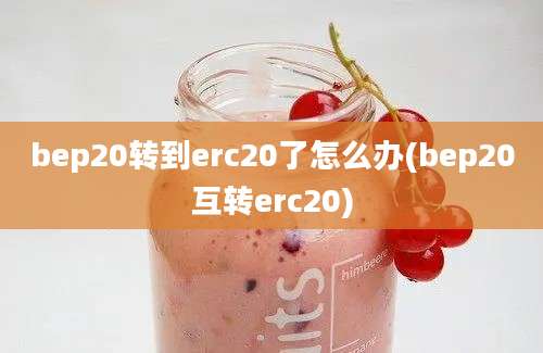 bep20转到erc20了怎么办(bep20互转erc20)