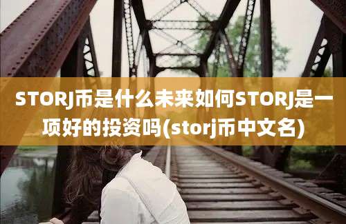 STORJ币是什么未来如何STORJ是一项好的投资吗(storj币中文名)