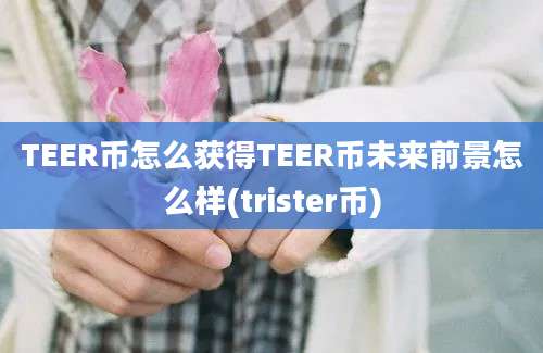 TEER币怎么获得TEER币未来前景怎么样(trister币)