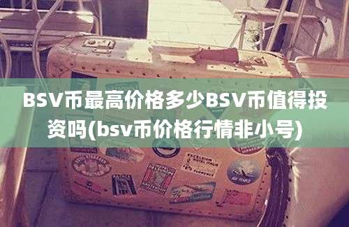 BSV币最高价格多少BSV币值得投资吗(bsv币价格行情非小号)