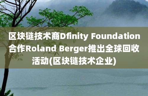 区块链技术商Dfinity Foundation合作Roland Berger推出全球回收活动(区块链技术企业)