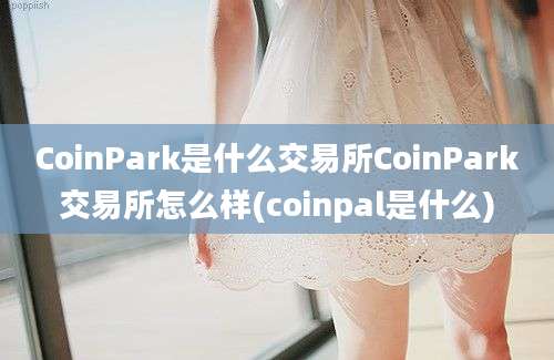 CoinPark是什么交易所CoinPark交易所怎么样(coinpal是什么)