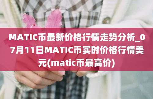 MATIC币最新价格行情走势分析_07月11日MATIC币实时价格行情美元(matic币最高价)