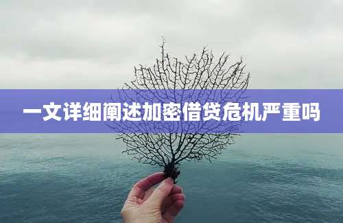 一文详细阐述加密借贷危机严重吗