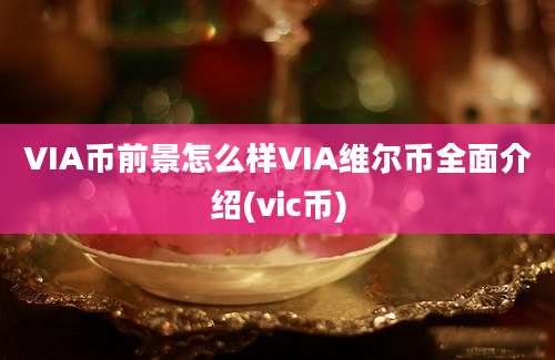 VIA币前景怎么样VIA维尔币全面介绍(vic币)