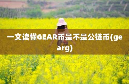 一文读懂GEAR币是不是公链币(gearg)