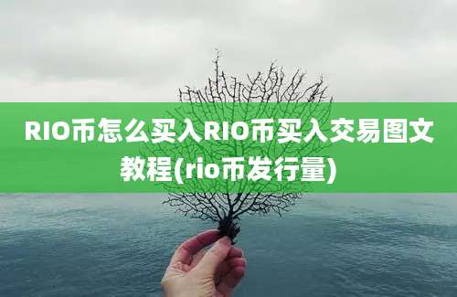 RIO币怎么买入RIO币买入交易图文教程(rio币发行量)