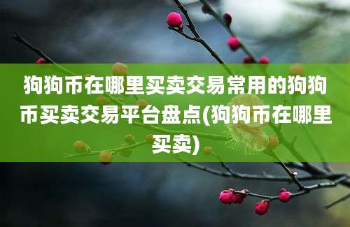 狗狗币在哪里买卖交易常用的狗狗币买卖交易平台盘点(狗狗币在哪里买卖)