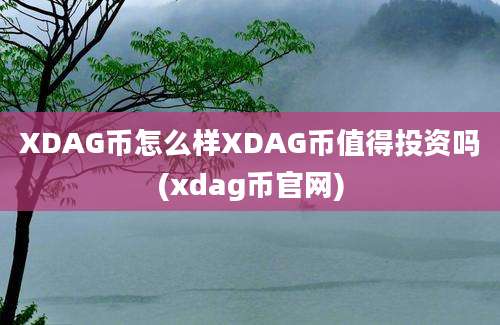 XDAG币怎么样XDAG币值得投资吗(xdag币官网)