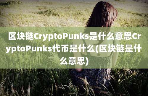 区块链CryptoPunks是什么意思CryptoPunks代币是什么(区块链是什么意思)