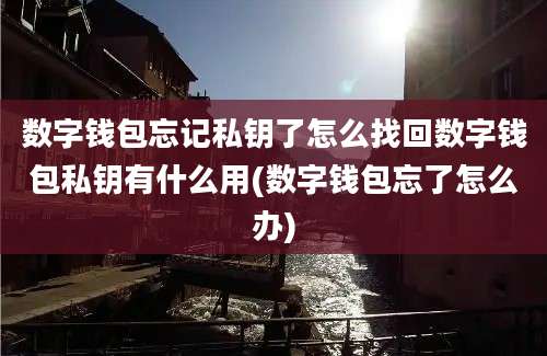 数字钱包忘记私钥了怎么找回数字钱包私钥有什么用(数字钱包忘了怎么办)