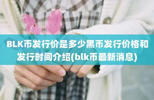 BLK币发行价是多少黑币发行价格和发行时间介绍(blk币最新消息)