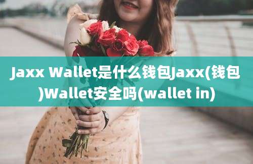 Jaxx Wallet是什么钱包Jaxx(钱包)Wallet安全吗(wallet in)