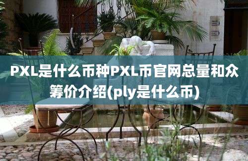 PXL是什么币种PXL币官网总量和众筹价介绍(ply是什么币)