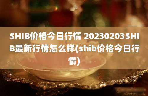 SHIB价格今日行情 20230203SHIB最新行情怎么样(shib价格今日行情)