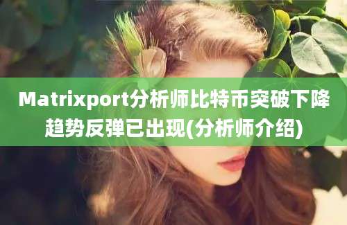 Matrixport分析师比特币突破下降趋势反弹已出现(分析师介绍)