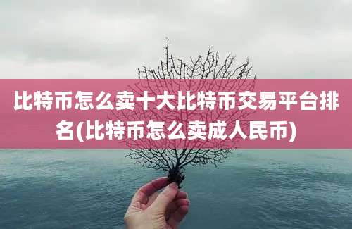 比特币怎么卖十大比特币交易平台排名(比特币怎么卖成人民币)