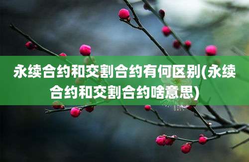 永续合约和交割合约有何区别(永续合约和交割合约啥意思)