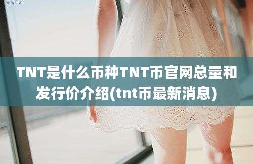 TNT是什么币种TNT币官网总量和发行价介绍(tnt币最新消息)