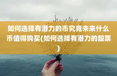 如何选择有潜力的币究竟未来什么币值得购买(如何选择有潜力的股票)