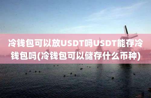 冷钱包可以放USDT吗USDT能存冷钱包吗(冷钱包可以储存什么币种)