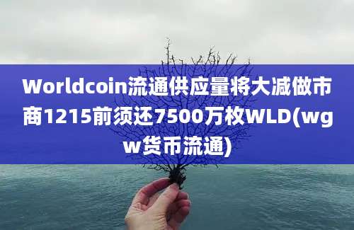 Worldcoin流通供应量将大减做市商1215前须还7500万枚WLD(wgw货币流通)