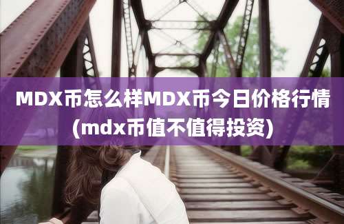 MDX币怎么样MDX币今日价格行情(mdx币值不值得投资)