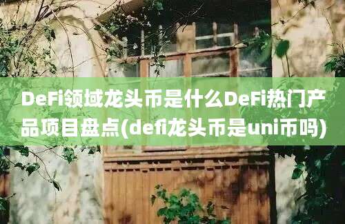 DeFi领域龙头币是什么DeFi热门产品项目盘点(defi龙头币是uni币吗)