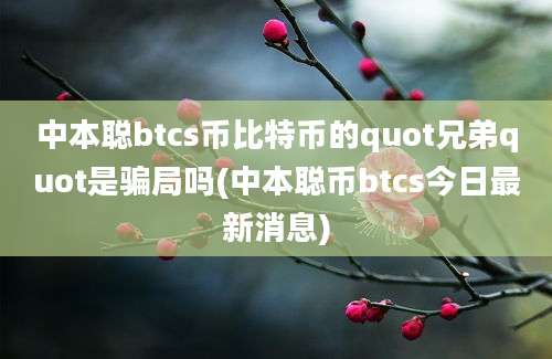 中本聪btcs币比特币的quot兄弟quot是骗局吗(中本聪币btcs今日最新消息)