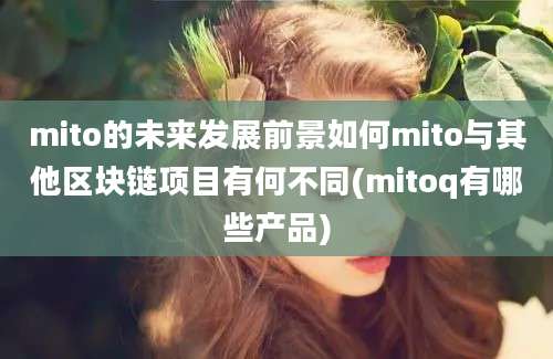 mito的未来发展前景如何mito与其他区块链项目有何不同(mitoq有哪些产品)