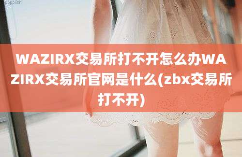 WAZIRX交易所打不开怎么办WAZIRX交易所官网是什么(zbx交易所打不开)