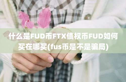 什么是FUD币FTX债权币FUD如何买在哪买(fus币是不是骗局)