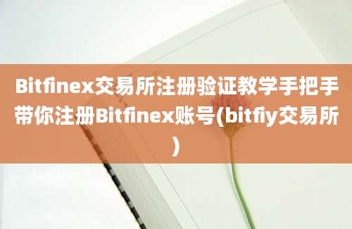 Bitfinex交易所注册验证教学手把手带你注册Bitfinex账号(bitfiy交易所)